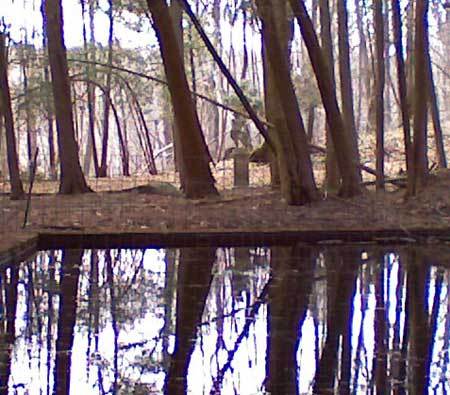 Photo by Helene Atwan