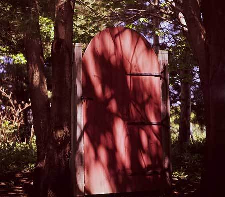 Photo by Molly Malone Cook