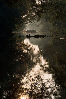 19_tranquility_industrial_valley_mi