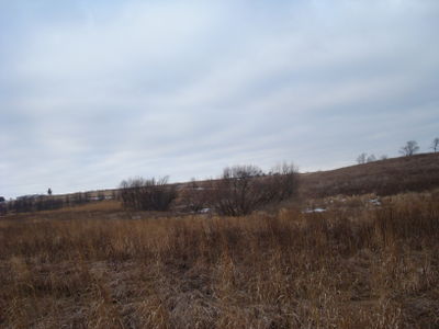 Image of Stone Prairie Farm from February 13, 2009
