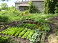 The garden at Stone Prairie Farm