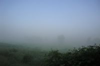 Foggy morning at Stone Prairie Farm in Juda, Wisconsin