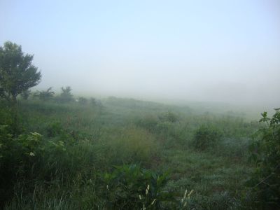 A foggy morning at Stone Prairie Farm in Juda, Wisconsin.