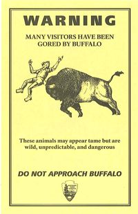Buffalo warning in Yellowstone National Park