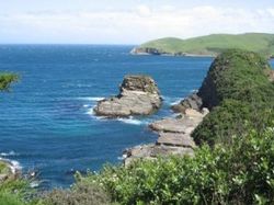 Compressed-pictures-April-20-2008-053-300x224