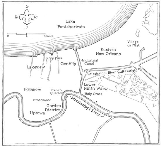 NOLA Neighborhoods drawing by Jamie Devol