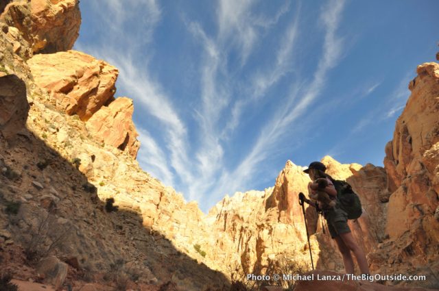 Spring Canyon, Capitol Reef National Park, Utah