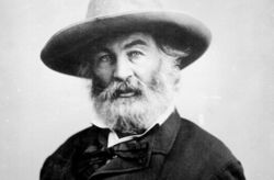Walt-whitman