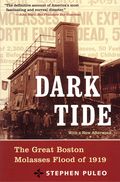Dark Tide: The Great Boston Molasses Flood of 1919 by Stephn Puleo