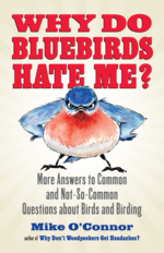 Why Do Bluebirds Hate Me? by Mike O'Connor