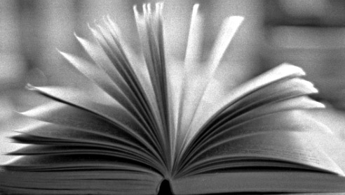 "Open book" by DeviantArt user shyfoxling