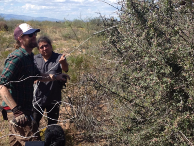 Chacon and Williams untangling parachute chord