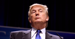 Do Bullies Have Mommies