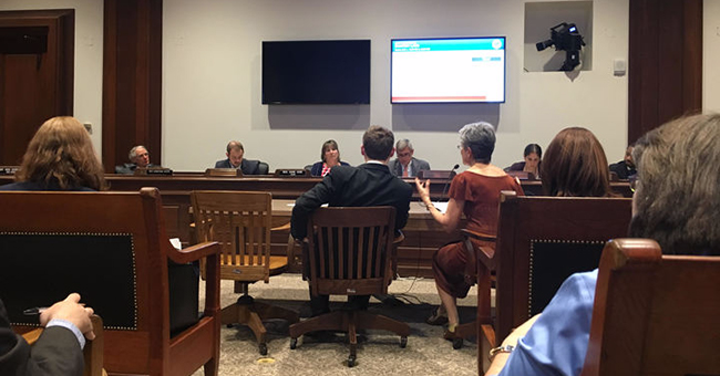 Adam Eichen and Frances Moore Lappé testify in front of the Massachusetts Joint Committee on Election Laws  June 8  2017.