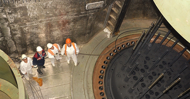 Nuclear power plant reactor