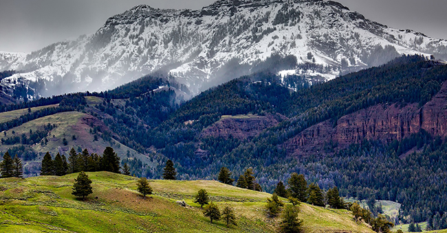 Yellowstone National Park. Photo credit: David Mark