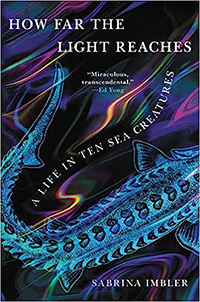 How Far the Light Reaches