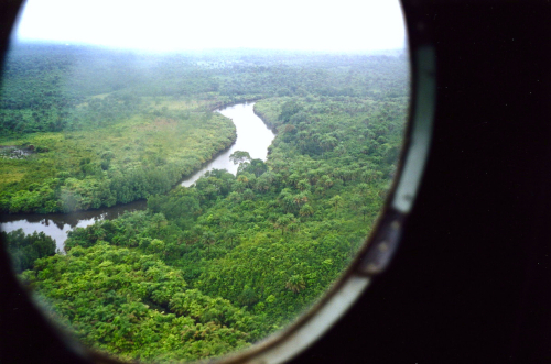 D- Jungle flyover copy