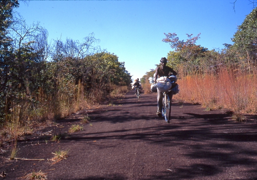 P2- Eastern Moxico prov  copy